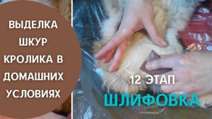 12 этап - "Шлифовка шкур"