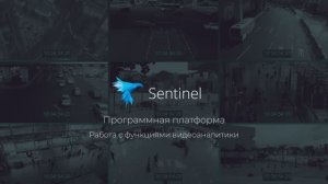 Программная платформа Sentinel R. Работа с функциями видеоаналитики