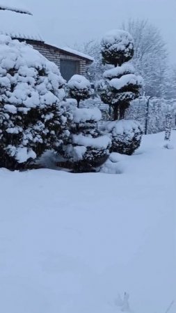 8 апреля Подмосковье 🥶❄️❄️❄️
