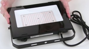 Фитопрожекторы ЭРА FITO "Удачный" на 100 и 50 Вт