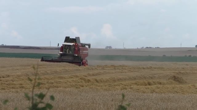 уборка зерновых и тюкование соломы