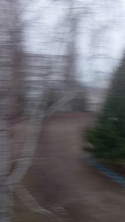 1000088376.mp4