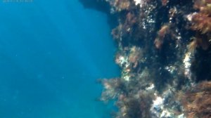 Экскурсия бездонного берега Черного моря в Тарханкуте