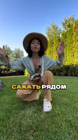 Эти Растения Убьют Ваши Розы!🌹❌