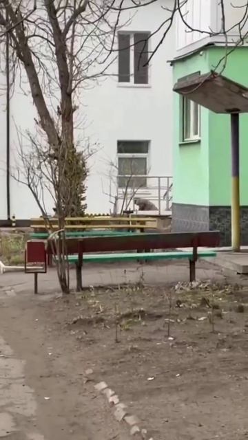 Украинскийне доброволец.