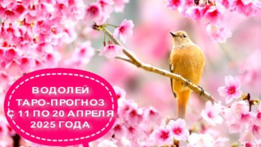 ВОДОЛЕЙ ТАРО-ПРОГНОЗ С 11 ПО 20 АПРЕЛЯ 2025 ГОДА