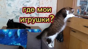 ГДЕ МОИ ИГРУШКИ?