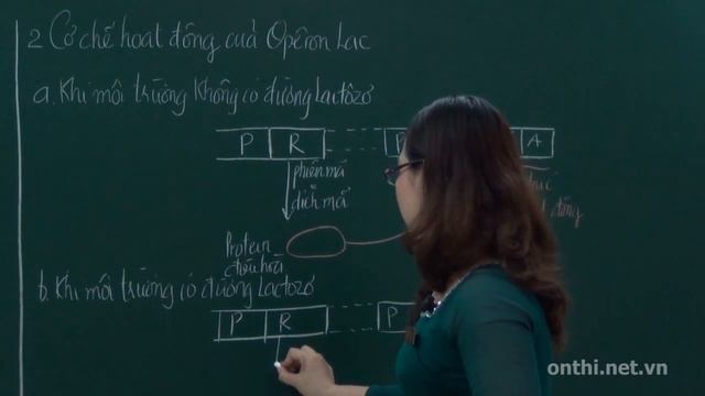 Điều hòa hoạt động Gen