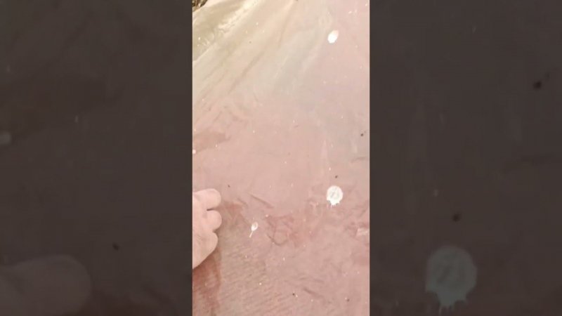 Поймали мышку.
