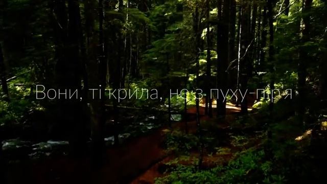 Ліна Костенко "Крила" смотреть онлайн