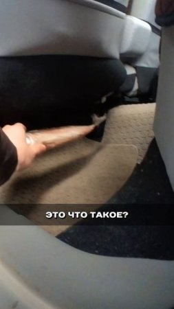 Весьма интересный персонаж пытается продать утопленника