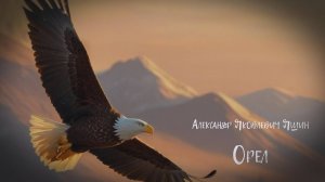 Орел