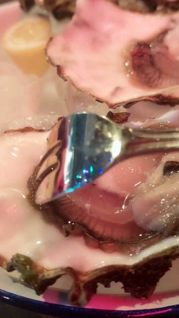 Живые устрицы. Устричные реснички #live #life #happy #lifestyle #устрицы #еда #food смотреть онлайн