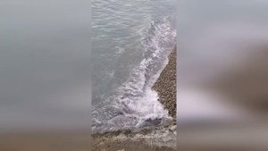 Ночное небо и мерцание звёзд: видео для глубокого сна | SeaBreeze Escapes