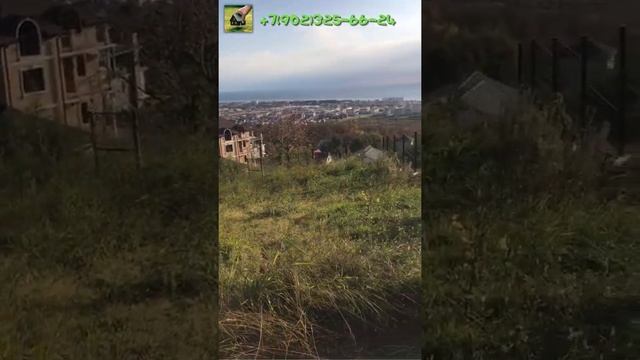 Земельный участок в Адлере 4 сотки. ВИДЫ, ЛОКАЦИЯ, СОСЕДСТВО.  #shorts #сочи #адлер #землявсочи