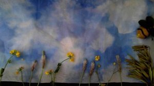 Присурский заповедник!