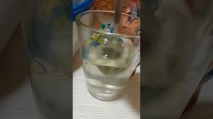 кулинарное шоу🥣