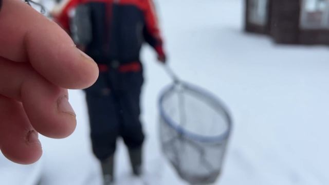 Видеообзор с водоема