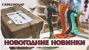 НОВОГОДНИЕ НОВИНКИ - вместе распакуем посылку из г.Гусь-хрустальный