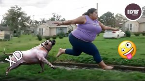 ЕСЛИ ТЫ СМЕЕШЬСЯ, ТЫ ТЕРЯЕШЬ УРОВЕНЬ  🤣 СМЕЮЩИЕСЯ ВИДЕО 😂 ЧАС МОМЕНТОВ😆