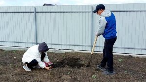 226 КУПИЛИ ДОМ. ПОКАЗЫВАЮ. НА РЫНОК САЖАЕМ ДЕРЕВЬЯ, СОБИРАЕМ МЕБЕЛЬ.