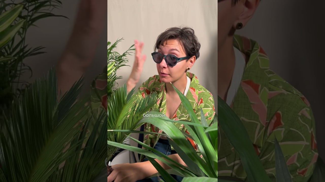 СЛОЖНО УСТОЯТЬ ПЕРЕД НАШИМИ ПАЛЬМАМИ