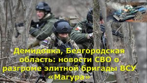 Демидовка, Белгородская область: новости СВО о разгроме элитной бригады ВСУ «Магура»