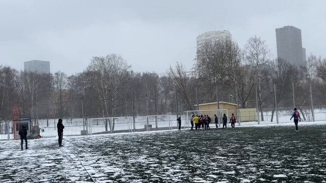 Фалькон 4 - 0 Дельта