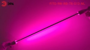 Фитолампа для растений светодиодная ЭРА FITO-9W-RB-Т8-G13-NL и мясных прилавков 9 Вт Т8 G13