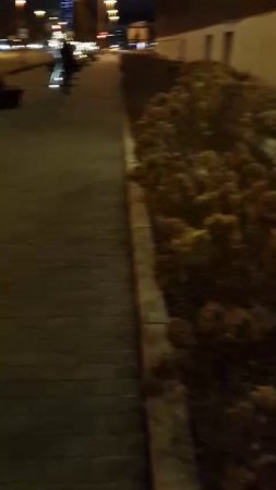 VID-20250408-WA0015
