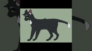 история жизни Горелого/коты воители