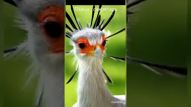 7 декабря 2020 г. смотреть онлайн