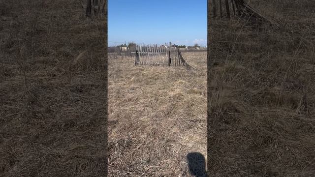 Обзор участка