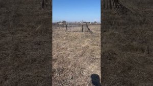 Обзор участка