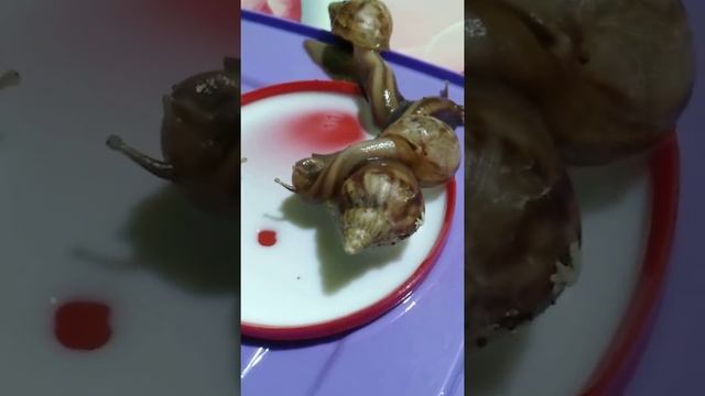 топ 4