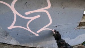 TAGS & THROWUPS . SPRAY AND MARKER. GRAFFITI BOMBING. Rebel813 4K 2022