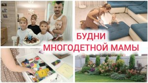 Уборка перед гостями, приезжает свекровь, Демиду 6 лет, первые шаги Машеньки Дзен