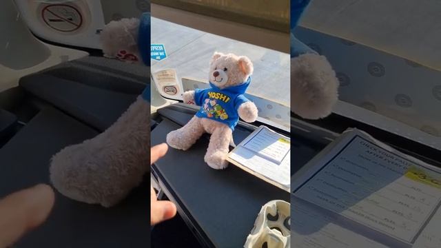 Volvo FH 2020 Cab Tour смотреть онлайн