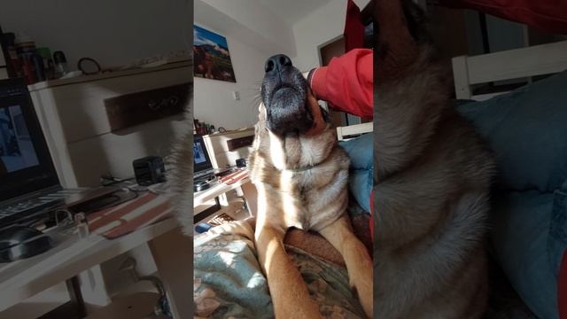 Мы на подработку устаиваемся с Джаном