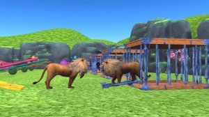 Long Slide Game With Elephant Gorilla Buffalo Hippopotamus Tiger - 3d Animal Game - Funny 3d Animal