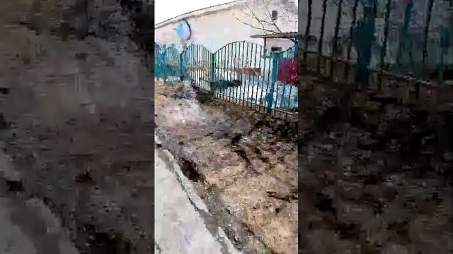 жизнь