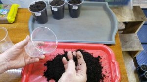 Проверка грунта для рассады на кислотность