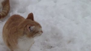 Минеральная вода курорта Карачи..