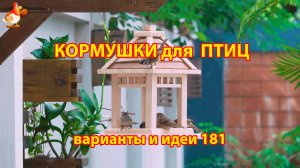 Кормушка для птиц своими руками как сделать пошагово  (181) 🪚🪛🔨 Идеи для дачи и сада❣️