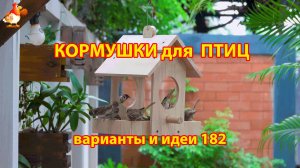 Кормушка для птиц своими руками как сделать пошагово  (182) 🪚🪛🔨 Идеи для дачи и сада❣️