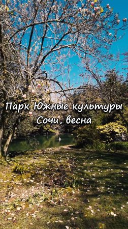 Парк Южные культуры, Сочи. Весна