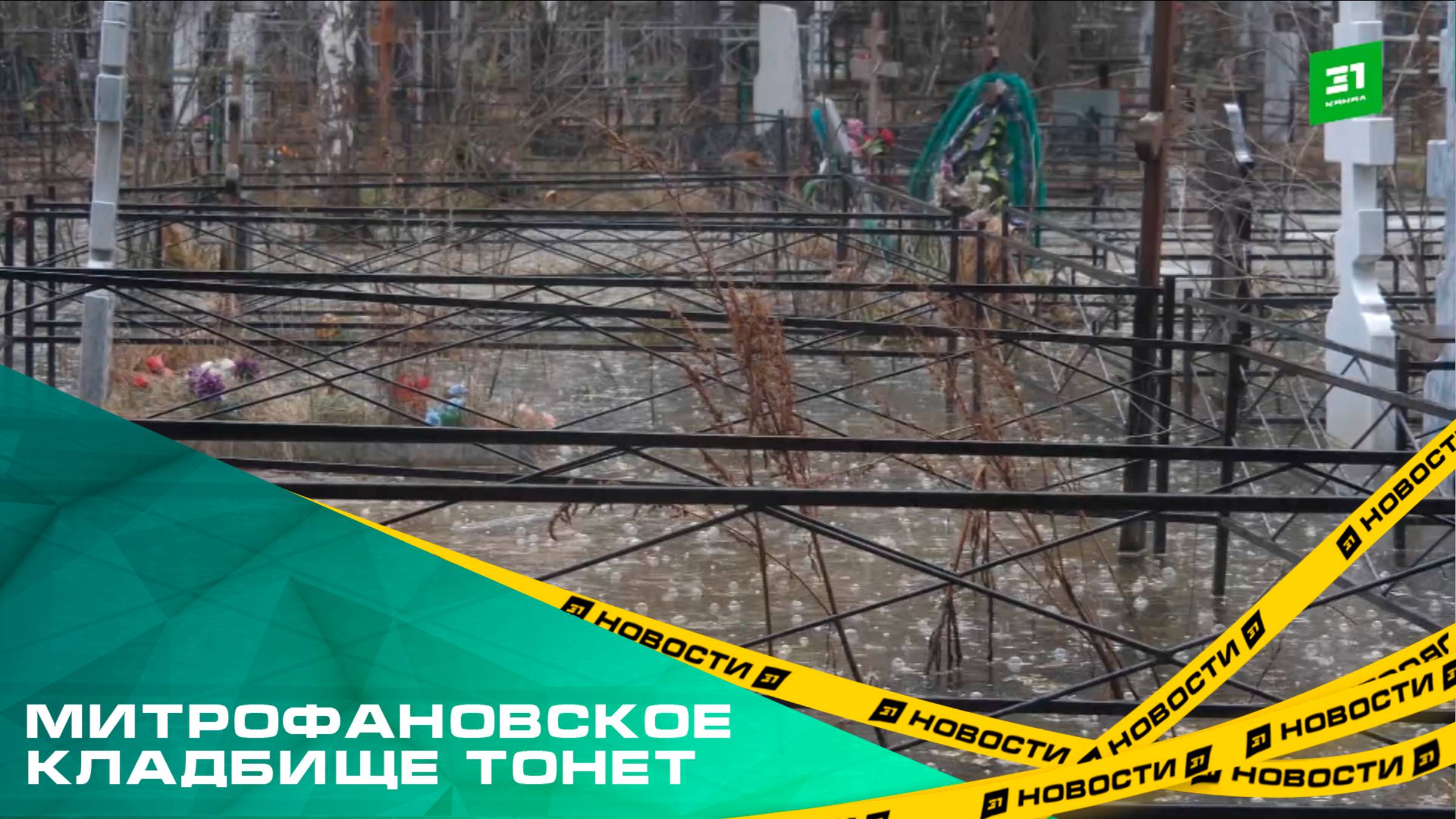 Митрофановское кладбище тонет. В погосте появились утки, которые плавают среди могил