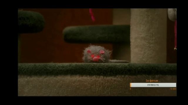 Китти Галор смотреть онлайн