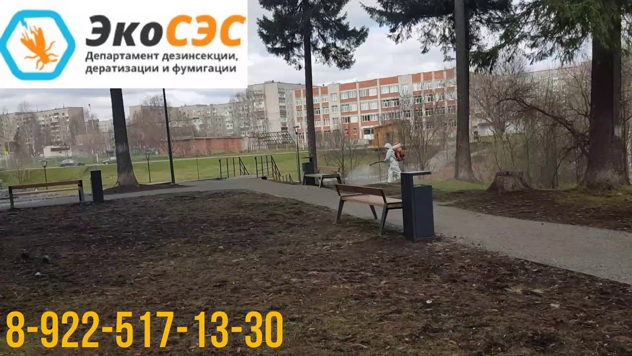 Акарицидная обработка от клещей! смотреть онлайн