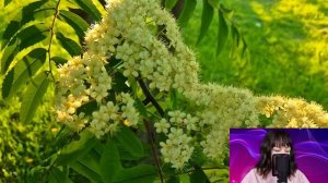 Наташа застыла, узнав, что мужа есть любовница. И решив проследить за ними и проучить...